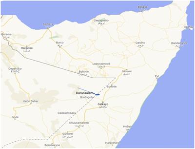Constraints to maternal healthcare access among pastoral communities in the Darussalam area of Mudug region, Somalia “a qualitative study”